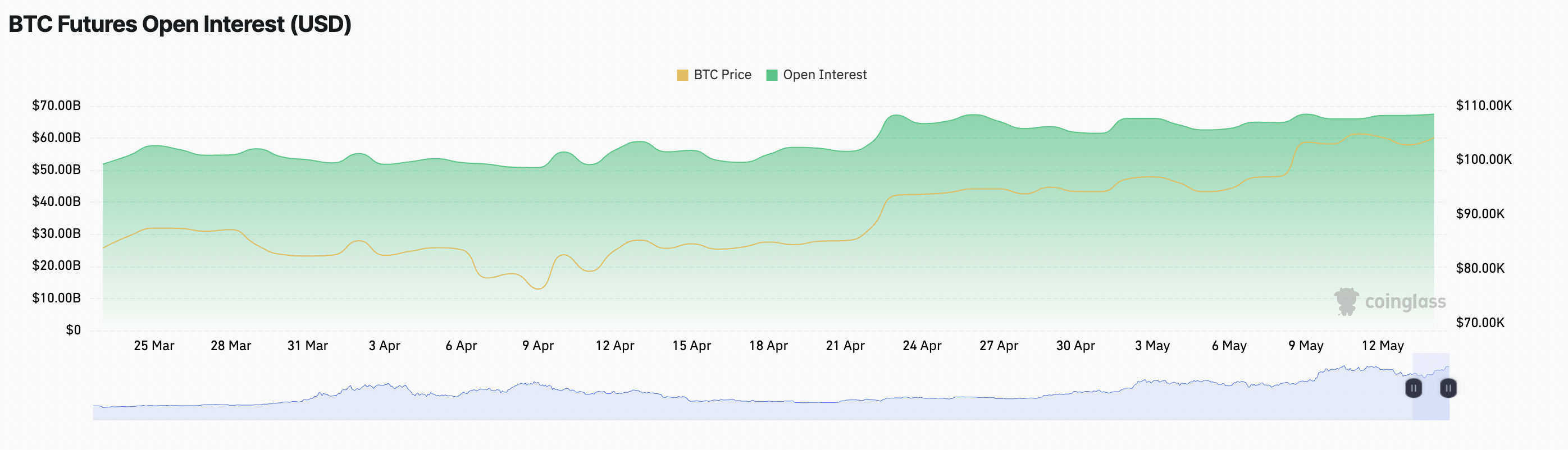 BTC Vadeli İşlemler Açık Pozisyon.